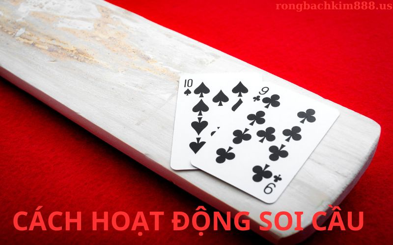 Cách thức hoạt động của soi cầu 568
