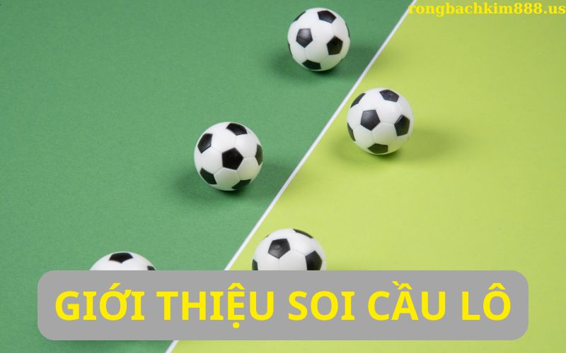 Giới thiệu soi cầu lô chính xác 100 hôm nay